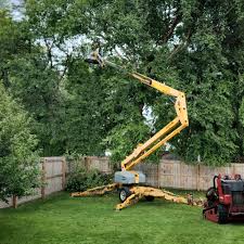 Lawn Irrigation Installation and Maintenance in Oak Ridge, NJ