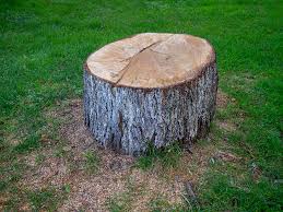 Best Leaf Removal  in Oak Ridge, NJ